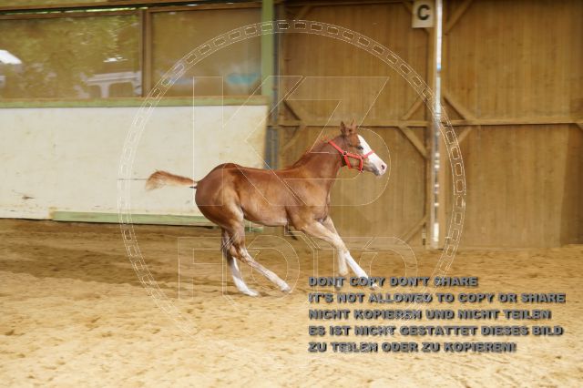 a_K3F03580.JPG